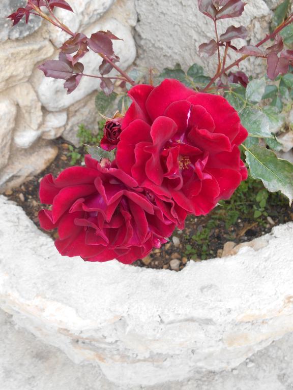 Le Mas Des Baux Bedoin Luaran gambar