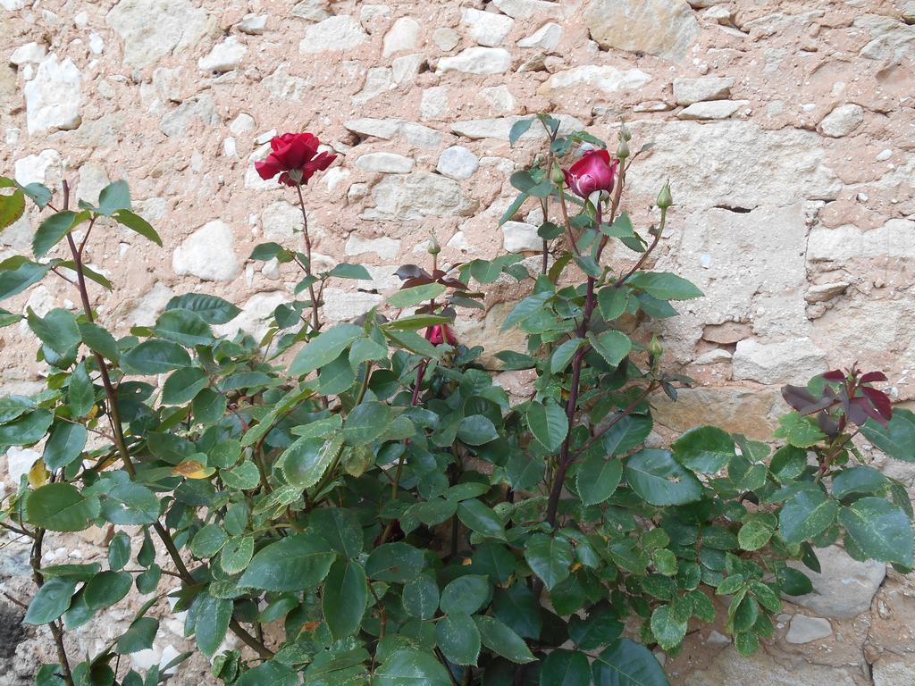 Le Mas Des Baux Bedoin Luaran gambar