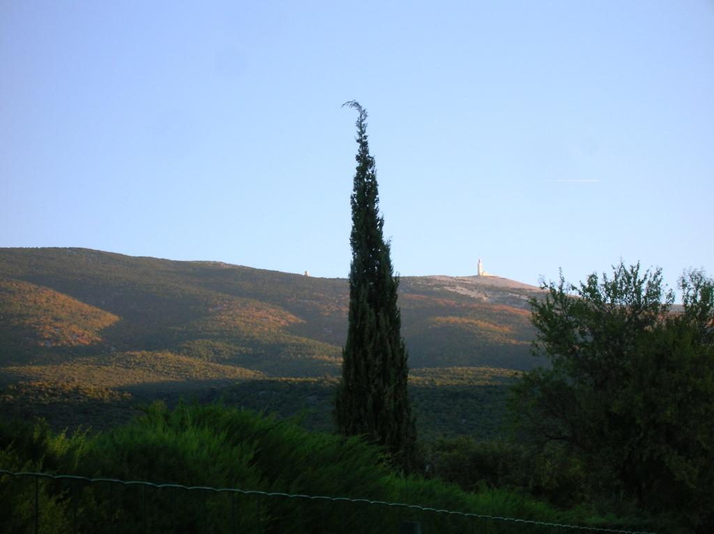 Le Mas Des Baux Bedoin Luaran gambar